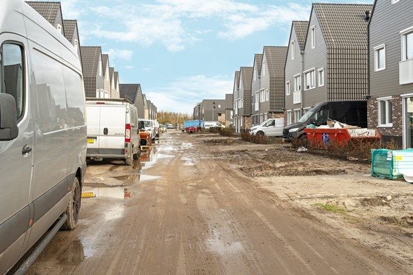 47-Moerasorchidee 29 - Lelystad.JPG